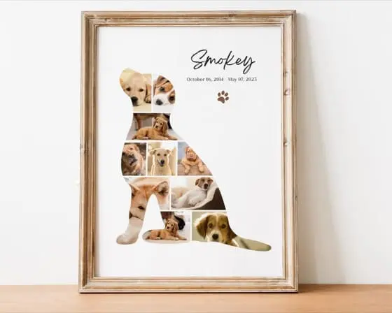 Pet Lovers photo collage templates
