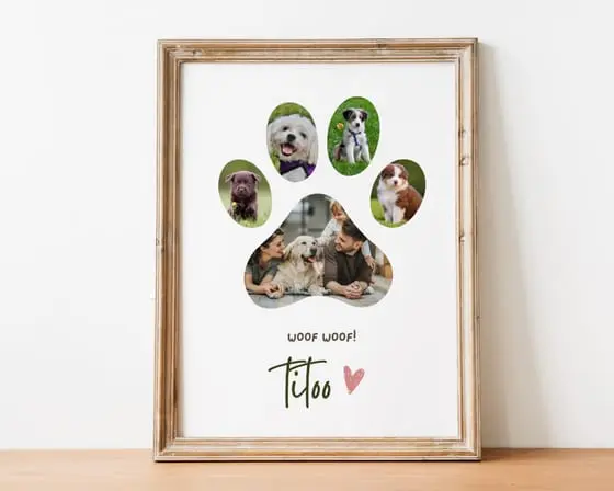 Paw print pet collage — photo collage template by The Photo Collage